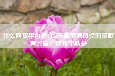 什么网贷平台是2022不看征信风控的贷款有哪些？这几个就是