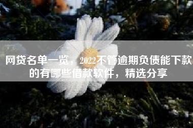 网贷名单一览，2022不管逾期负债能下款的有哪些借款软件，精选分享