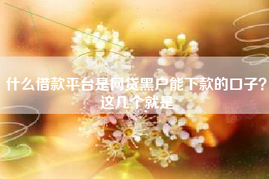 什么借款平台是网贷黑户能下款的口子？这几个就是