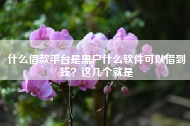 什么借款平台是黑户什么软件可以借到钱？这几个就是