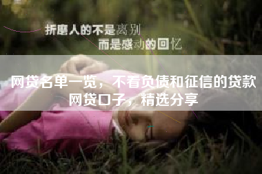 网贷名单一览，不看负债和征信的贷款网贷口子，精选分享