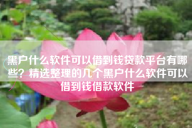 黑户什么软件可以借到钱贷款平台有哪些？精选整理的几个黑户什么软件可以借到钱借款软件