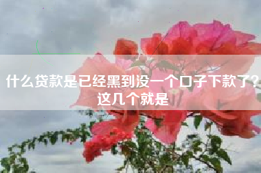 什么贷款是已经黑到没一个口子下款了？这几个就是