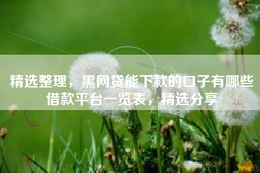 精选整理，黑网贷能下款的口子有哪些借款平台一览表，精选分享