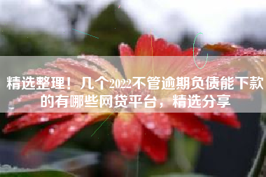 精选整理！几个2022不管逾期负债能下款的有哪些网贷平台，精选分享