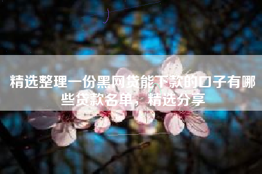 精选整理一份黑网贷能下款的口子有哪些贷款名单，精选分享