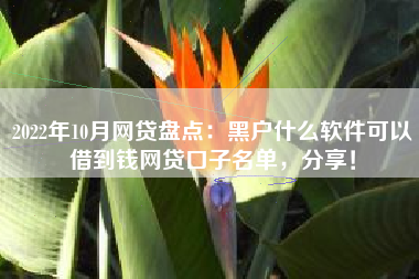 2022年10月网贷盘点：黑户什么软件可以借到钱网贷口子名单，分享！