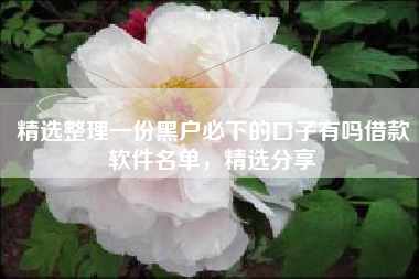 精选整理一份黑户必下的口子有吗借款软件名单，精选分享
