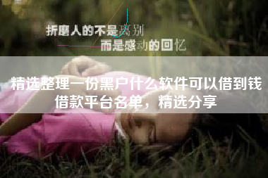 精选整理一份黑户什么软件可以借到钱借款平台名单，精选分享