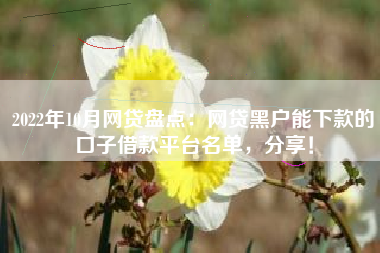 2022年10月网贷盘点：网贷黑户能下款的口子借款平台名单，分享！