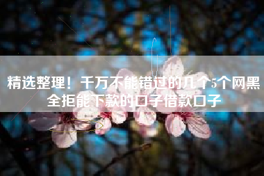精选整理！千万不能错过的几个5个网黑全拒能下款的口子借款口子