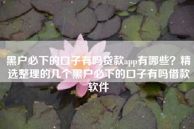 黑户必下的口子有吗贷款app有哪些？精选整理的几个黑户必下的口子有吗借款软件