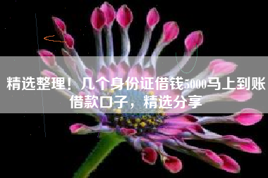 精选整理！几个身份证借钱5000马上到账借款口子，精选分享