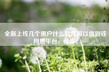 全新上线几个黑户什么软件可以借到钱网贷平台，分享！