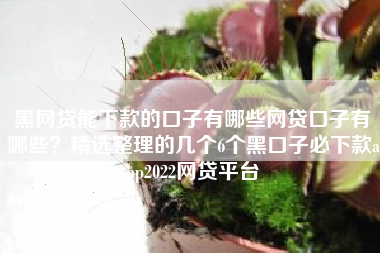 黑网贷能下款的口子有哪些网贷口子有哪些？精选整理的几个6个黑口子必下款app2022网贷平台