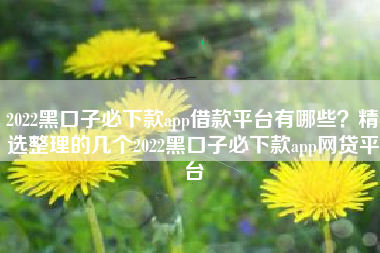 2022黑口子必下款app借款平台有哪些？精选整理的几个2022黑口子必下款app网贷平台