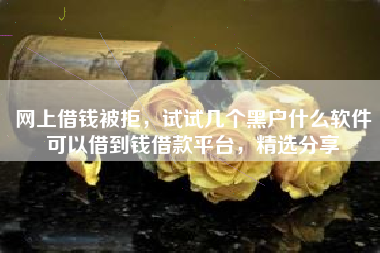 网上借钱被拒，试试几个黑户什么软件可以借到钱借款平台，精选分享