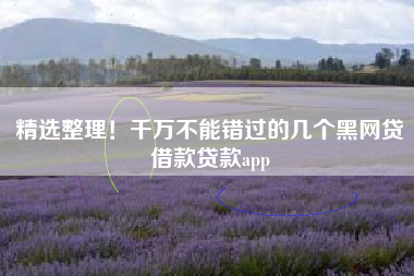 精选整理！千万不能错过的几个黑网贷借款贷款app