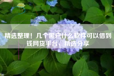 精选整理！几个黑户什么软件可以借到钱网贷平台，精选分享