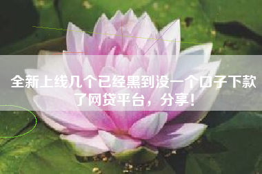 全新上线几个已经黑到没一个口子下款了网贷平台，分享！