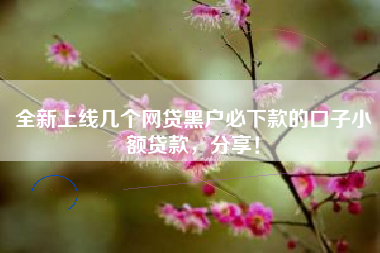 全新上线几个网贷黑户必下款的口子小额贷款，分享！