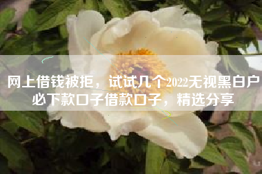 网上借钱被拒，试试几个2022无视黑白户必下款口子借款口子，精选分享