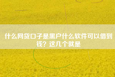 什么网贷口子是黑户什么软件可以借到钱？这几个就是