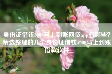 身份证借钱5000马上到账网贷app有哪些？精选整理的几个身份证借钱5000马上到账借款软件