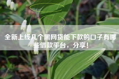 全新上线几个黑网贷能下款的口子有哪些借款平台，分享！