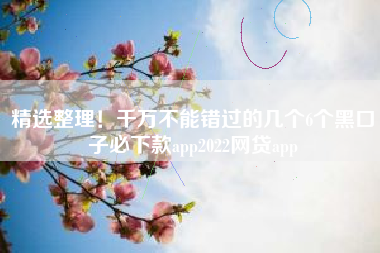 精选整理！千万不能错过的几个6个黑口子必下款app2022网贷app
