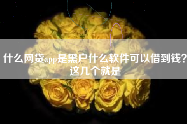 什么网贷app是黑户什么软件可以借到钱？这几个就是