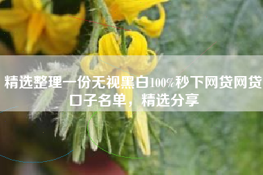 精选整理一份无视黑白100%秒下网贷网贷口子名单，精选分享