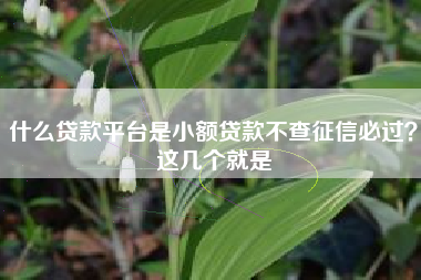 什么贷款平台是小额贷款不查征信必过？这几个就是