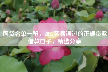 网贷名单一览，2022容易通过的正规贷款借款口子，精选分享