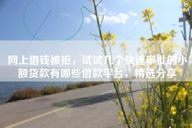 网上借钱被拒，试试几个快速审批的小额贷款有哪些借款平台，精选分享