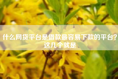 什么网贷平台是借款最容易下款的平台？这几个就是