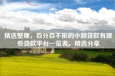 精选整理，百分百不拒的小额贷款有哪些贷款平台一览表，精选分享