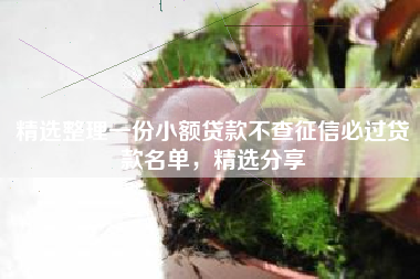 精选整理一份小额贷款不查征信必过贷款名单，精选分享