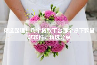 精选整理！几个贷款平台哪个好下款借款软件，精选分享