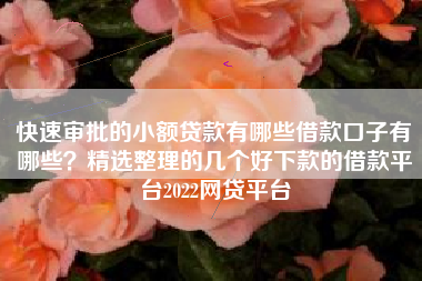 快速审批的小额贷款有哪些借款口子有哪些？精选整理的几个好下款的借款平台2022网贷平台