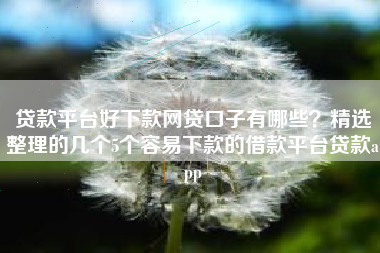 贷款平台好下款网贷口子有哪些？精选整理的几个5个容易下款的借款平台贷款app