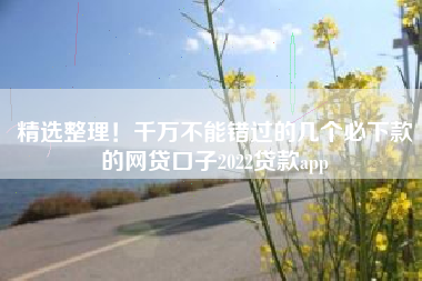 精选整理！千万不能错过的几个必下款的网贷口子2022贷款app