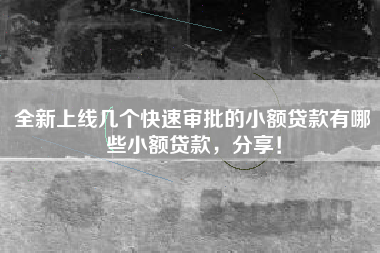 全新上线几个快速审批的小额贷款有哪些小额贷款，分享！