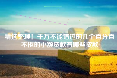 精选整理！千万不能错过的几个百分百不拒的小额贷款有哪些贷款