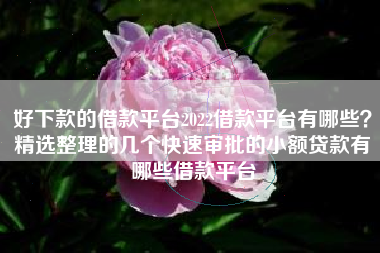 好下款的借款平台2022借款平台有哪些？精选整理的几个快速审批的小额贷款有哪些借款平台