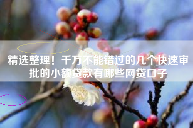 精选整理！千万不能错过的几个快速审批的小额贷款有哪些网贷口子