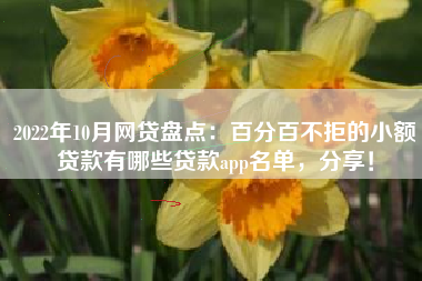 2022年10月网贷盘点：百分百不拒的小额贷款有哪些贷款app名单，分享！