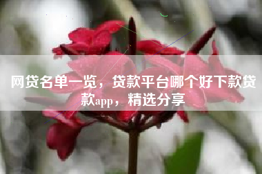 网贷名单一览，贷款平台哪个好下款贷款app，精选分享