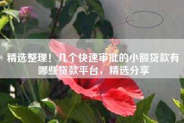精选整理！几个快速审批的小额贷款有哪些贷款平台，精选分享