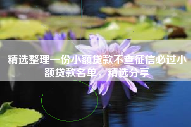 精选整理一份小额贷款不查征信必过小额贷款名单，精选分享